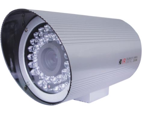 100�׺��������